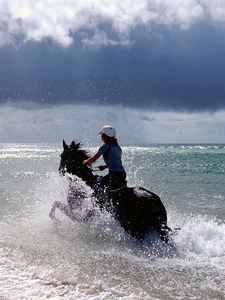 Australia-Queensland-Gold Rush Trail and  Beach Ride